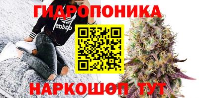 прущие грибы Рязань