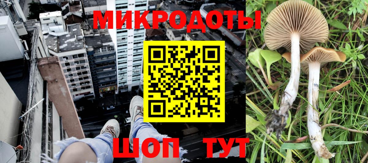 Омск  Псилоцибиновые грибы GOLDEN TEACHER  Вход с VPN 